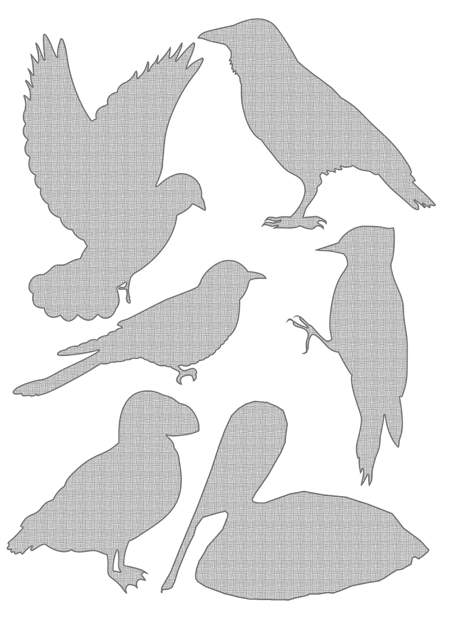 Bird Screen Patch